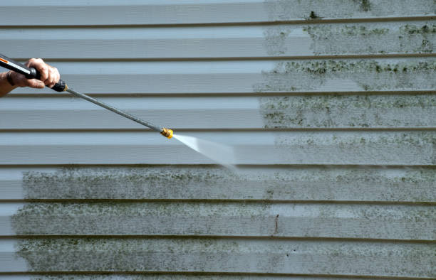Best Roof Washing  in Lake Lorelei, OH